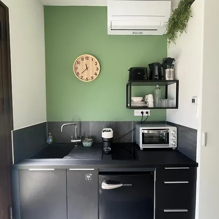 Appartement Renove Avec Terrasse & Jardin Proche Gare Grenoble